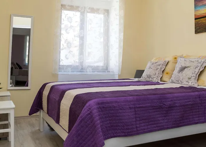 Anvedor * קריקווניצה