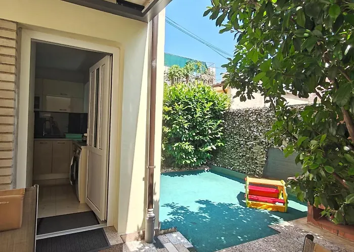 Anvedor * קריקווניצה